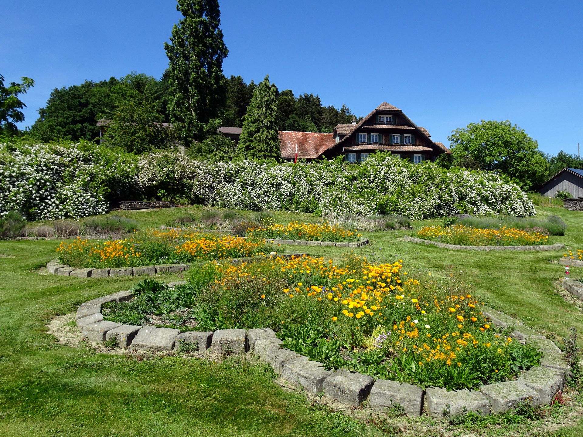 Altishofen